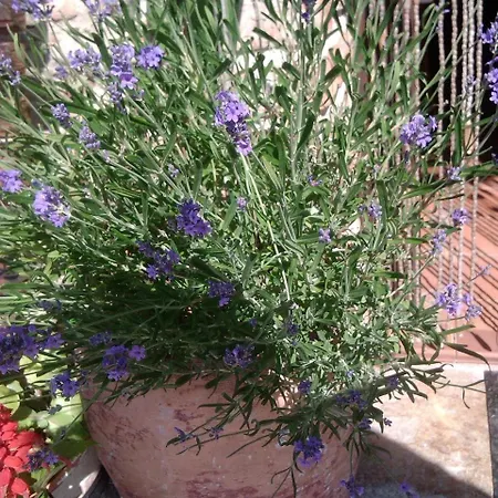 דירה House With 4 Bedrooms In Villamorey, With Wonderful Mountain View, Furnished ...